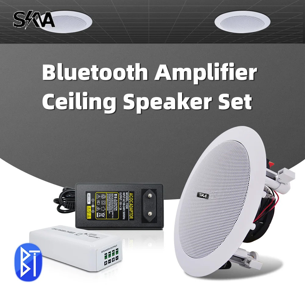 Portable Amplifier Mini - Amplificateur Bluetooth Portable, Mini ampli et