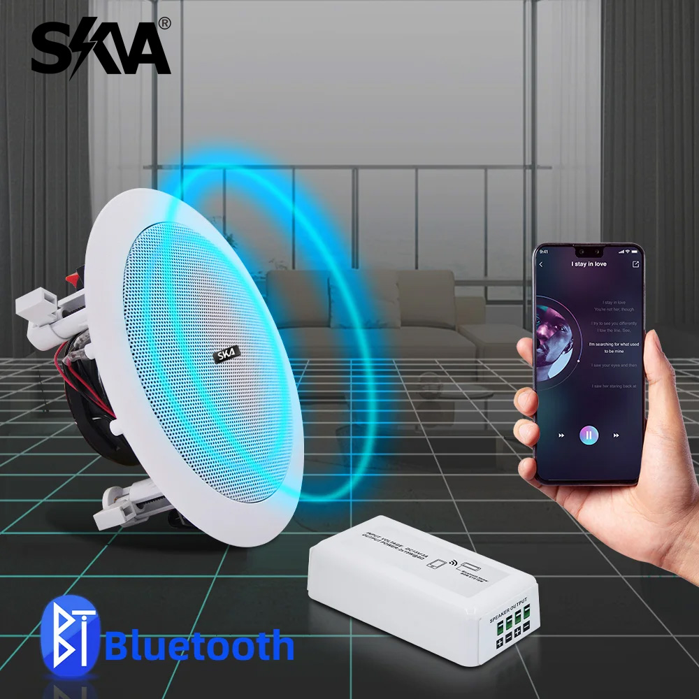 Amplificateur Bluetooth Portab - Portable Amplifier Mini avis et prix