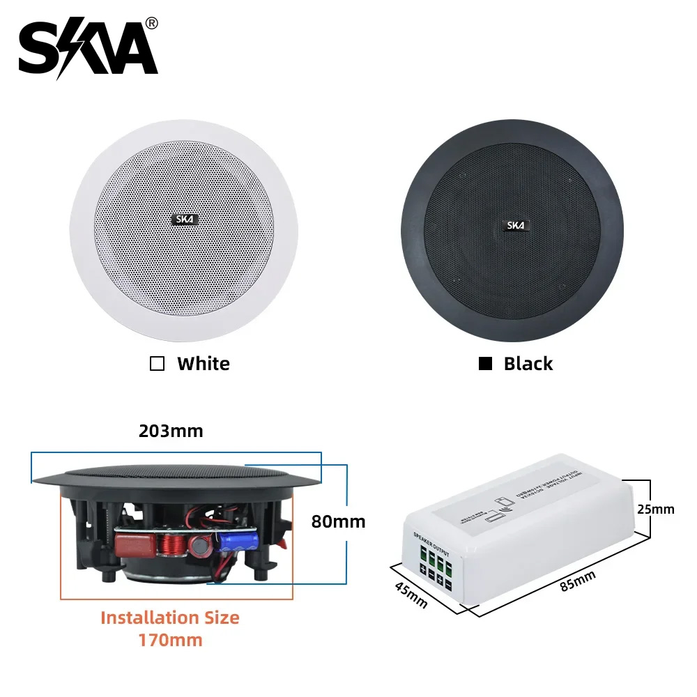 Amplificateur Bluetooth Portab - Portable Amplifier Mini avis et prix