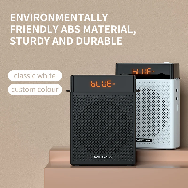 LINIM S2 Haut-parleur audio mi - Portable Amplifier Mini avis et prix