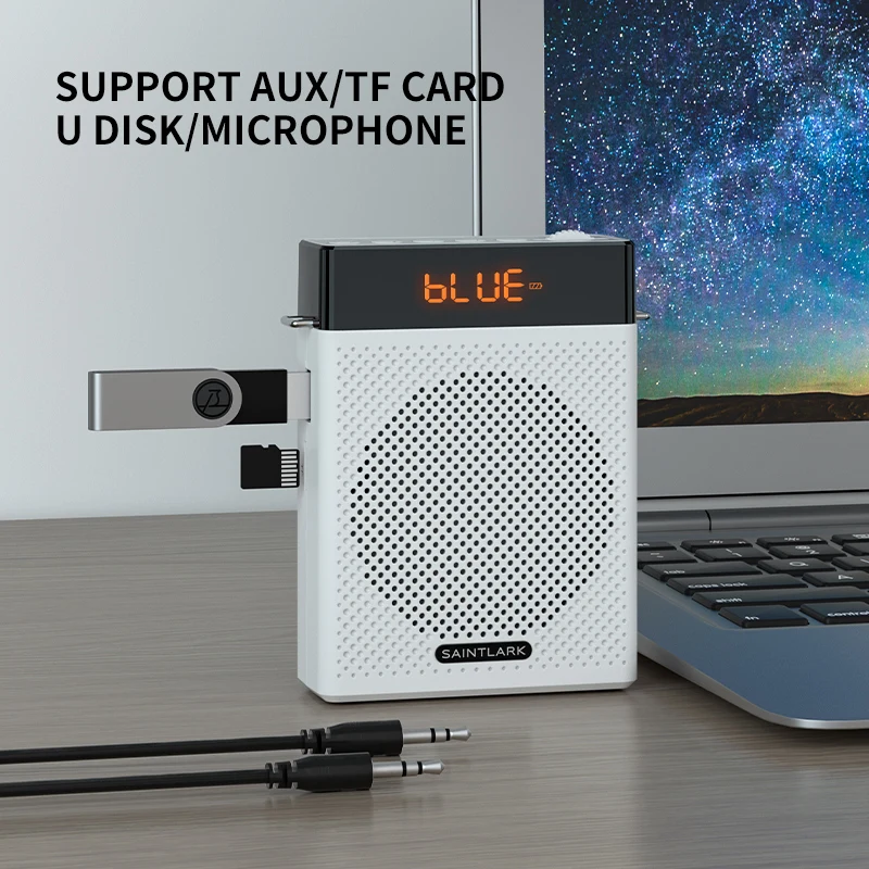 LINIM S2 Haut-parleur audio mi - Portable Amplifier Mini avis et prix