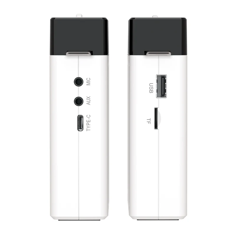 LINIM S2 Haut-parleur audio mi - Portable Amplifier Mini avis et prix