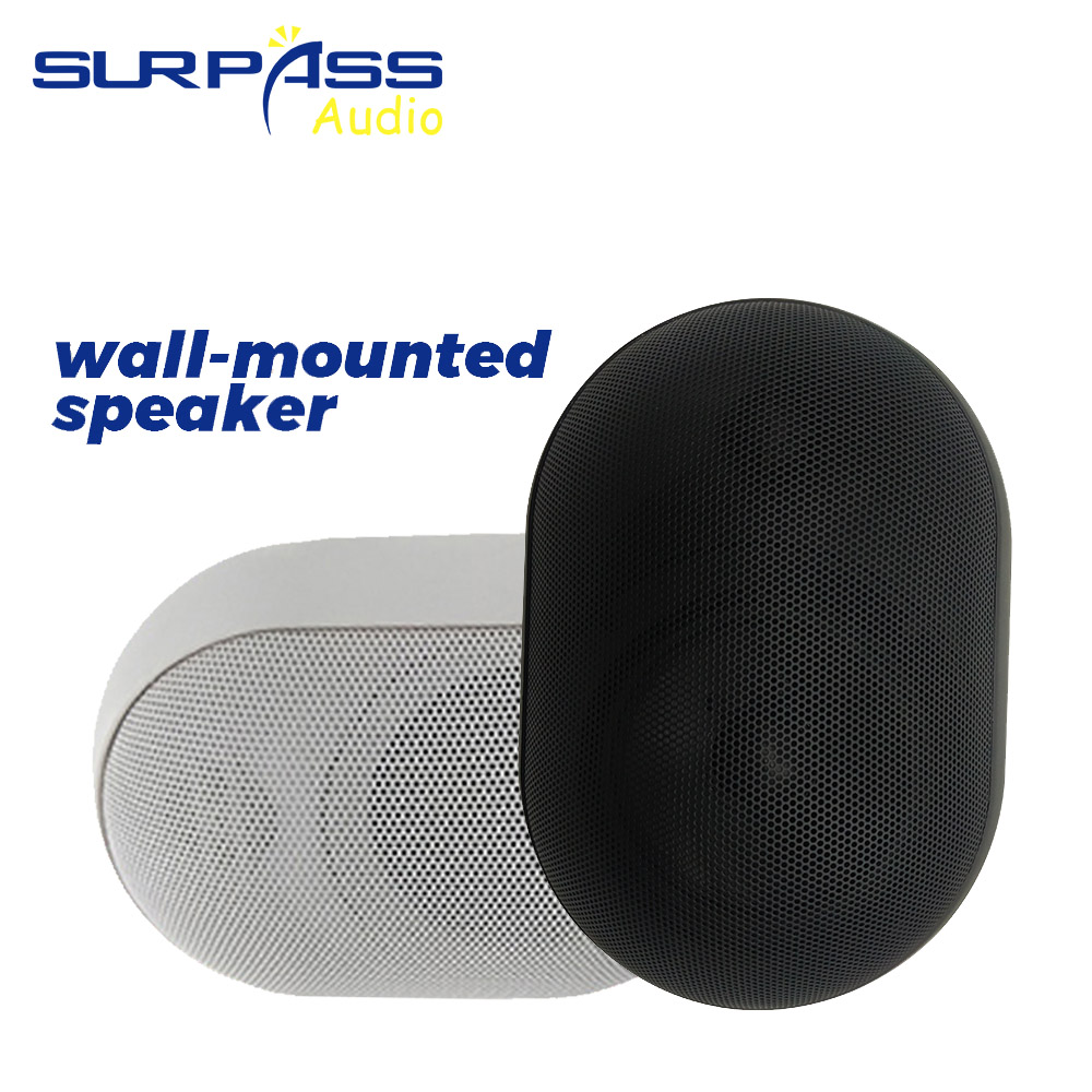 30W haut-parleur mural étanche - Audio Music Background Free avis et prix